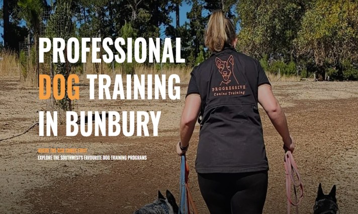 Why Private Dog Training in Bunbury is the Best Choice for You and Your Pup